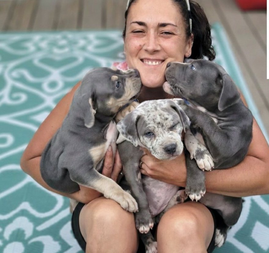 The Dogmother holding three rescued grey puppies